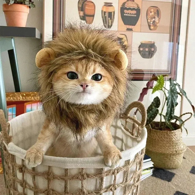 Cat Costume Cute Lion Mane Cat Wig Hat Cosplay Clothes Cap Dress Up Puppy Kitten Halloween Christmas Party Decoration Supplies Nova Trendz