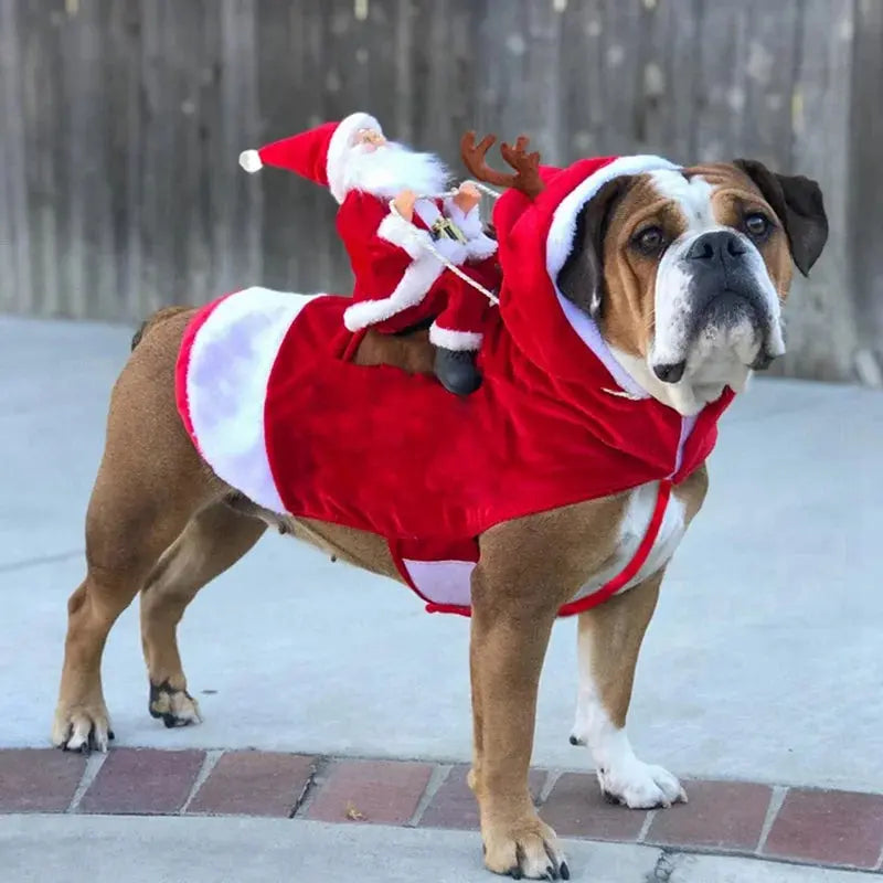 Pet Christmas Clothes Santa Claus Dog Costume Puppy Coat Jacket Suit with Cap Clothing Cosplay For Small Medium Large Dogs Cats Nova Trendz