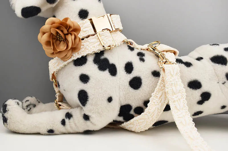 Lace  Dog Collar Personalizd  Custom Engraved Nameplate Pet Wedding Collar Harness For Dogs Dog Accessories Luxury Lace03