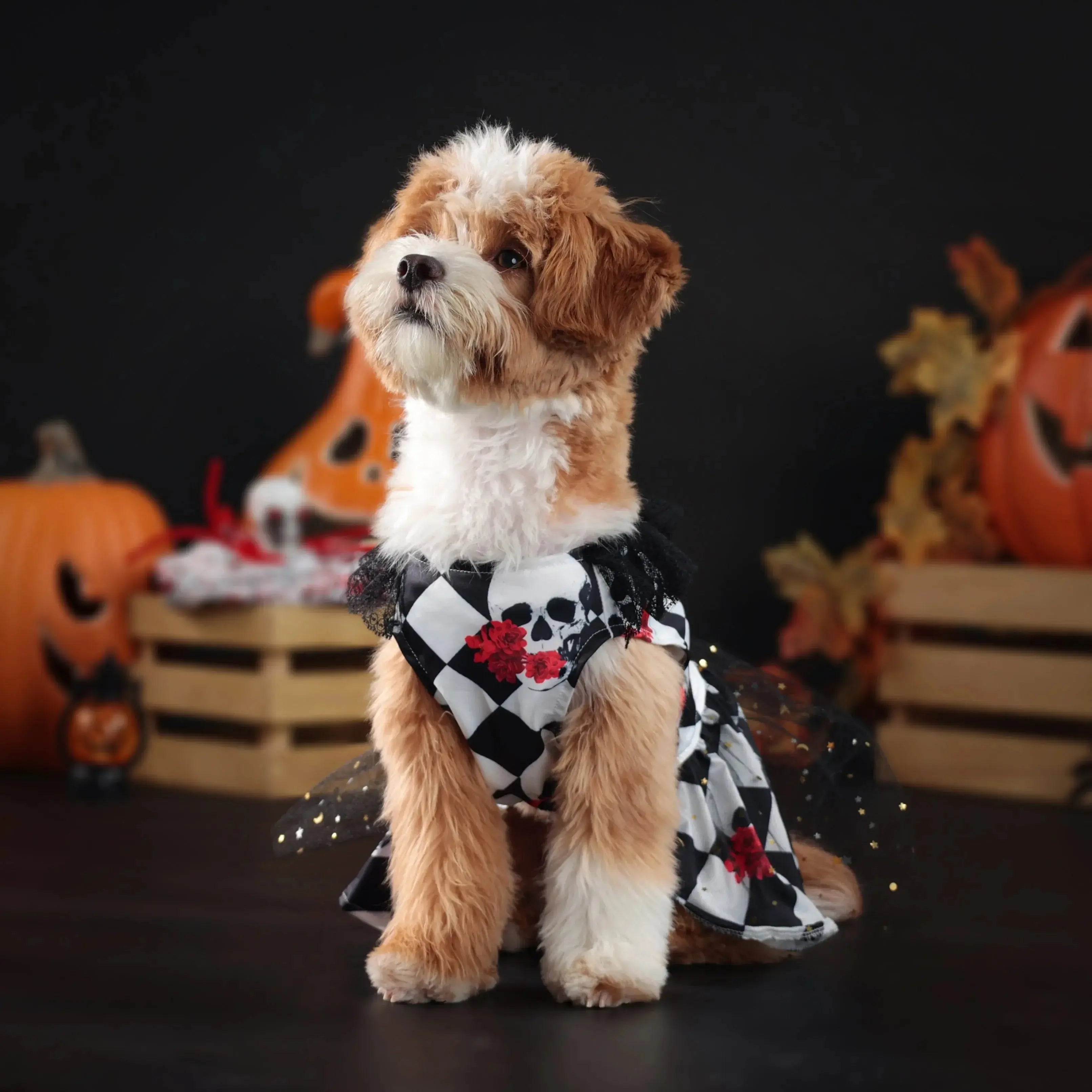 New Fun Dog Halloween Costume Pet Lace Hair Proof Dress Dog Clothes Gift Dog Dress Nova Trendz