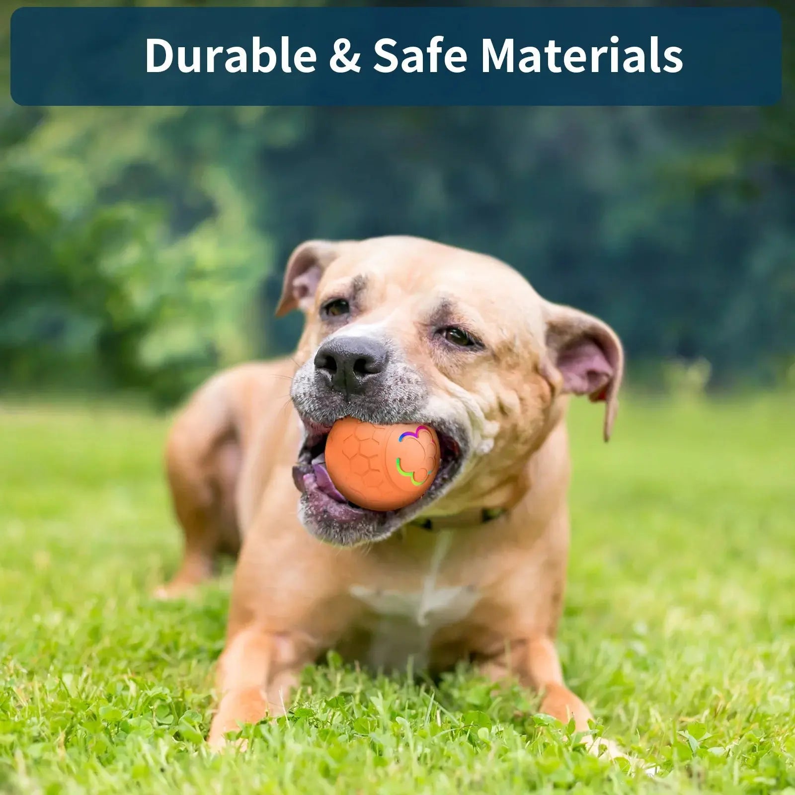 Smart Dog Toy Ball Electronic Interactive Pet Toy Ball USB Automatic Bouncing Rolling Toy Ball With RGB Lights Puppy Cat Product - Nova Trendz