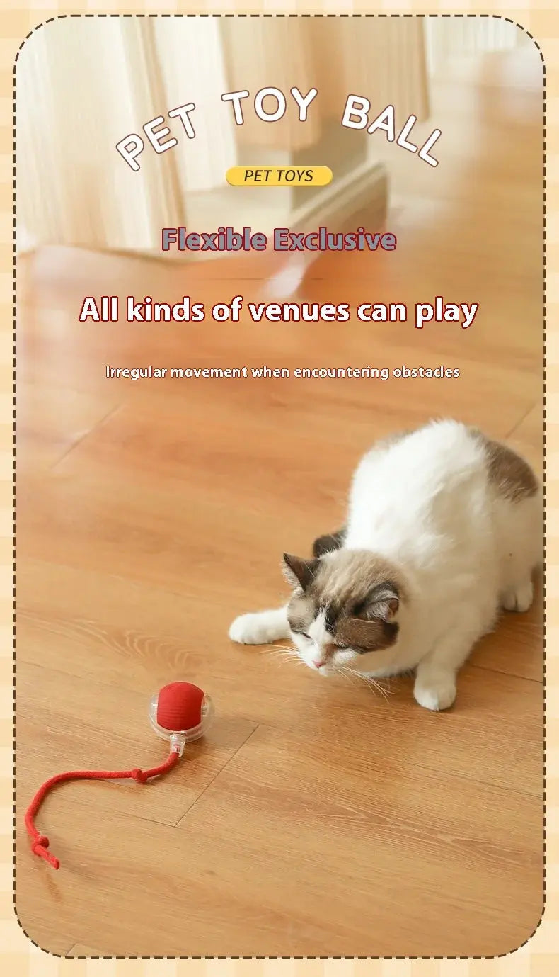 Cat Interactive Ball Toys Automatic Rolling Ball Faux Tail Rechargeable Smart Pet Electric Toy Dog Cat Training Imitate Mouse - Nova Trendz