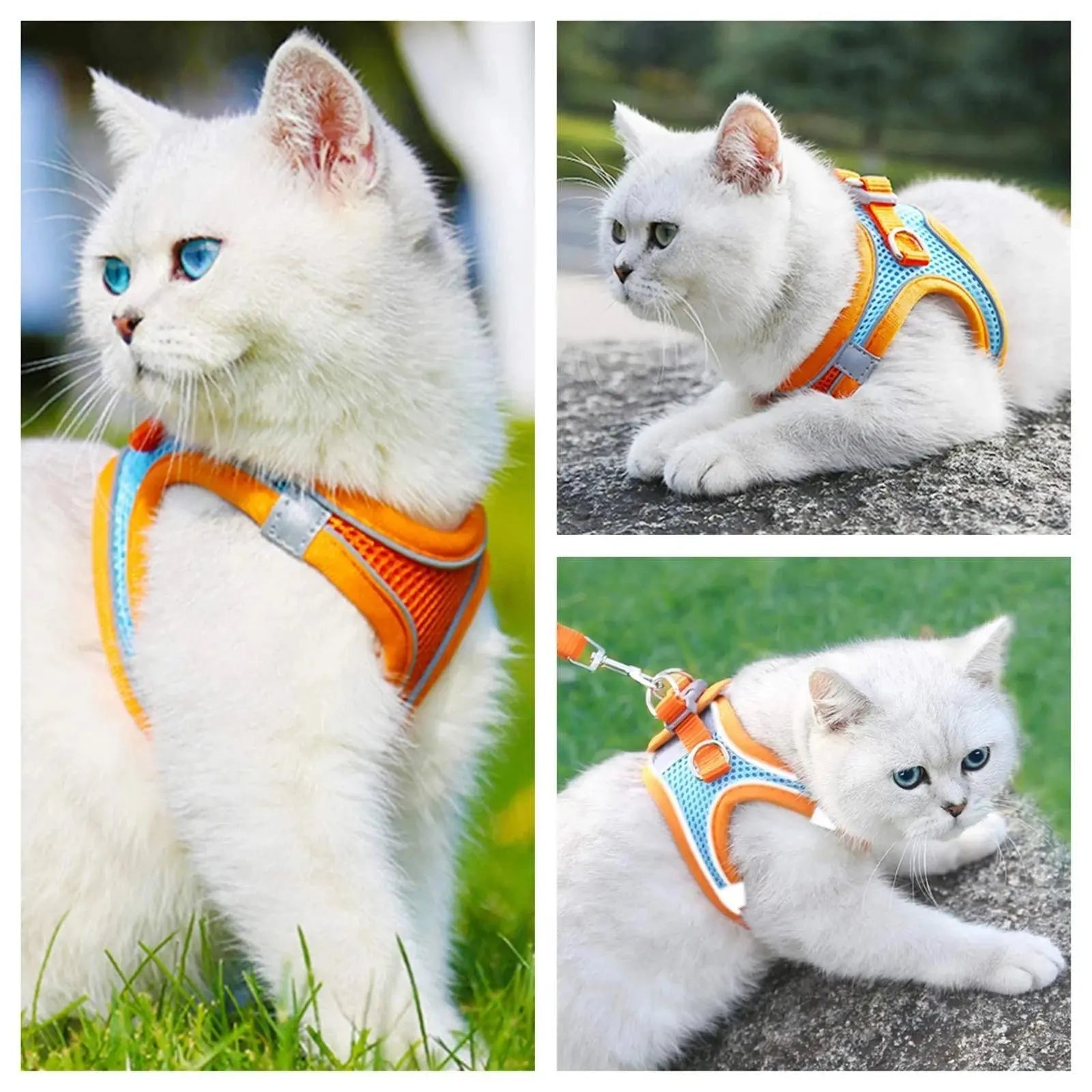 Cat Harness Reflective Pet Harnesses And Leashes Set Adjustable Pet Harness for Cats Small Dogs Pug Chihuahua Cat Accessories - Nova Trendz