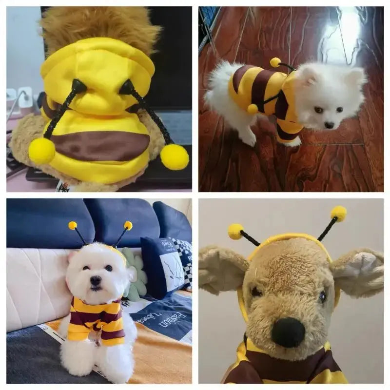 Pet Halloween Costume Honey Bee Role Play Hoodie with Buckle or Not Dogs Cats Party Cosplay Funny Outfit Clothes Dog Hoodies - Nova Trendz