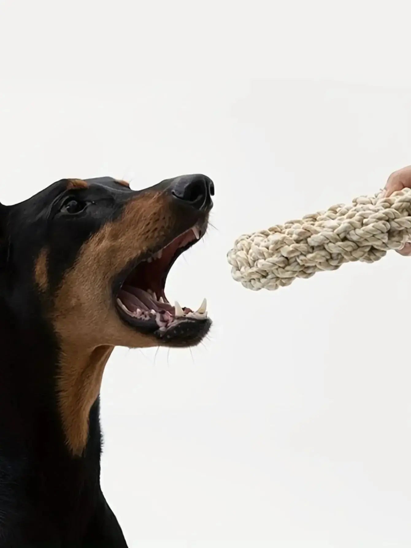 Pet Dog Rope Toy Durable Chew Bite Resistant Pet Toys for Medium Large Dogs Golden Retriever Pitbull Labrador Supplies Nova Trendz