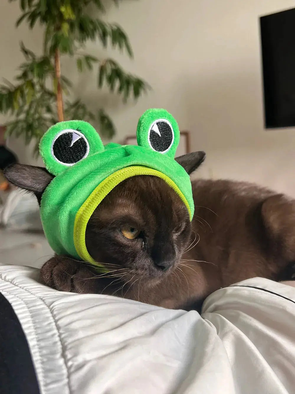 Halloween Easter Pet Costume Novelty Crab Lobster Frog Hat for Cat Puppy Hat Dog Cap Soft Headgear for Birthday Party Photo Prop - Nova Trendz