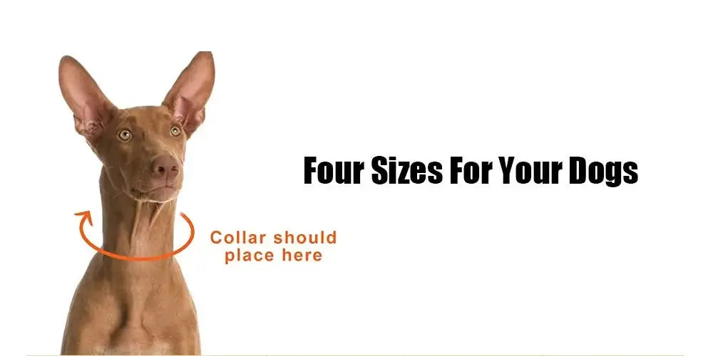 Dog Collar Prong Dog Training Collar For Dogs With Rubber Tips Stainless Steel Dog Collar For Large Dogs Dog Training Supplies - Nova Trendz