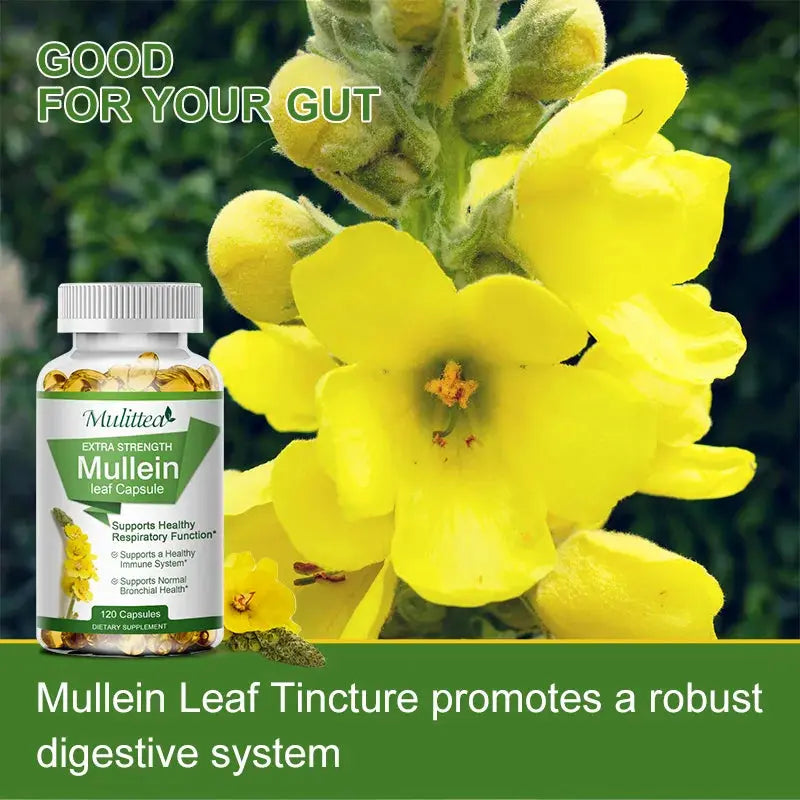 Mulittea Natural Mullein Leaf Capsules Herbal Supplement for Lung Cleanse Helps Healthy Respiratory Function & Mucous Membranes Nova Trendz