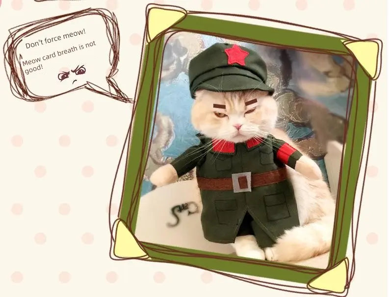 Cat Clothes Dog Clothes Teddy British Shorthair Pet Costume Funny Selling Cute Upright Pet Costume Spring and Summer Clothes Hot Nova Trendz