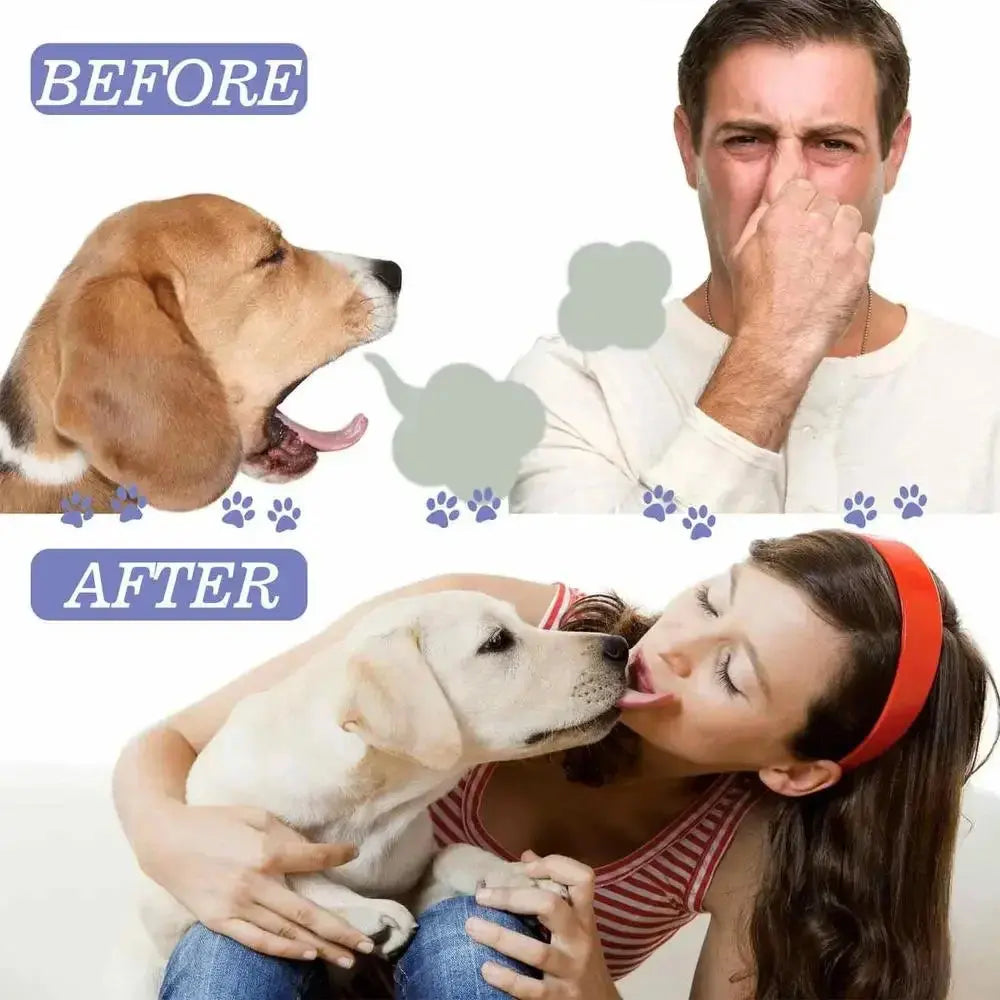 Pet Oral Cleaning Spray 50ml Dogs Cats Teeth Clean Deodorant Prevent Calculus Remove Kitten Bad Breath Mouth Fresh Pet Supplies - Nova Trendz
