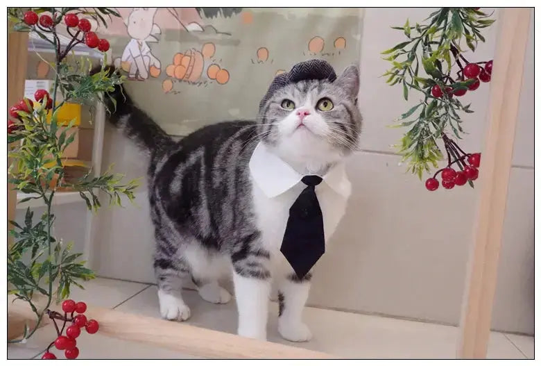 Funny Pet Cat Hat Gentleman's Hat Beret Tie Bathing Blood Gangster Handsome Cosplay Photo Prop Dog Halloween Costume Nova Trendz