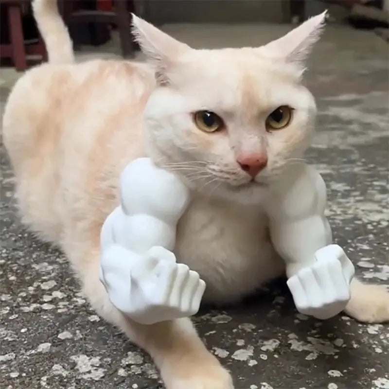 Funny Cat Muscle Arm Clothing Decoration Props 3D Printed Pet Interactive Neck Hanging Toy Role-playing Accessories Birthday Toy Nova Trendz