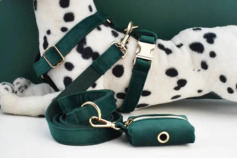 Green Velvet Dog Collar And Leash Set For Dogs Custom Engraved Nameplate Pet Supplies Dog Leash velvet43 - Nova Trendz