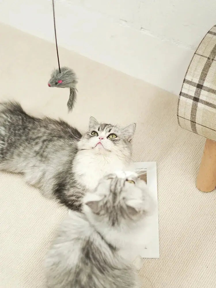 Simulation Mouse Cats Toy Funny Self-hey Hanging Door Retractable Cats Stick Scratch Rope Mouse Cat Interactive Toy Cat Supplies - Nova Trendz