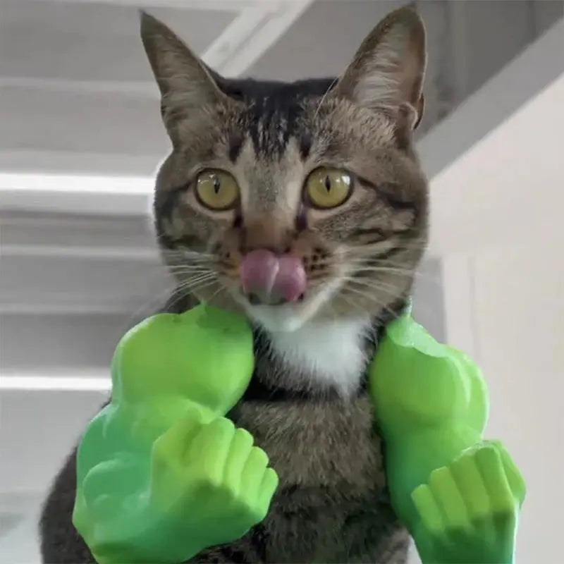 Funny Cat Muscle Arm Clothing Decoration Props 3D Printed Pet Interactive Neck Hanging Toy Role-playing Accessories Birthday Toy Nova Trendz