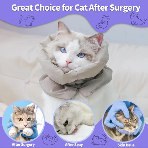 A colorful and fashionable pet warm collar and waterproof scarf for cats to prevent licking and biting after sterilization surge - Nova Trendz