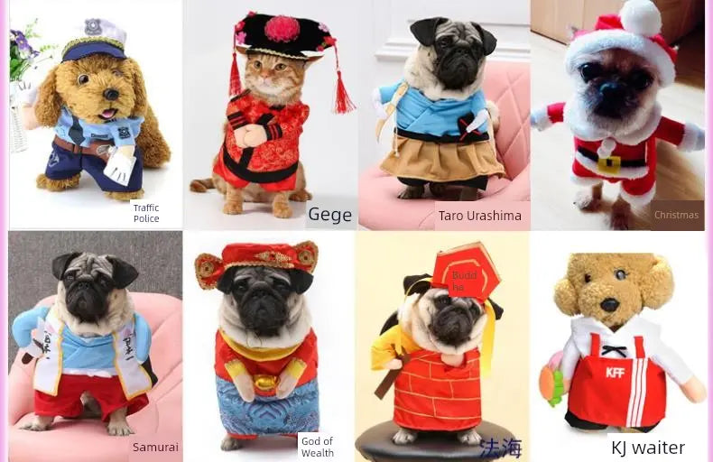 Cat Clothes Dog Clothes Teddy British Shorthair Pet Costume Funny Selling Cute Upright Pet Costume Spring and Summer Clothes Hot Nova Trendz