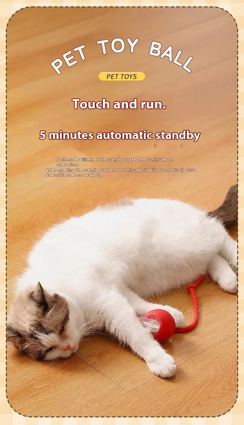Cat Interactive Ball Toys Automatic Rolling Ball Faux Tail Rechargeable Smart Pet Electric Toy Dog Cat Training Imitate Mouse - Nova Trendz