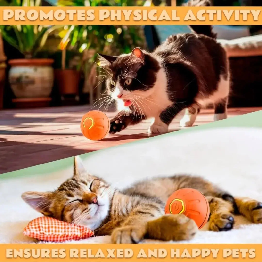Pet toys Gravity Electric Amusement Pet Ball Smart Bouncing Ball For Dogs and Cats - Nova Trendz