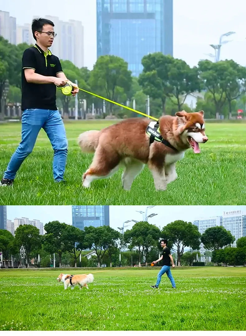5M Luxury Pet Dog Leashes Retractable Dog Leash For Large  Medium Dogs Cat Puppies Accessories Small Automatic Extension Lanyard Nova Trendz