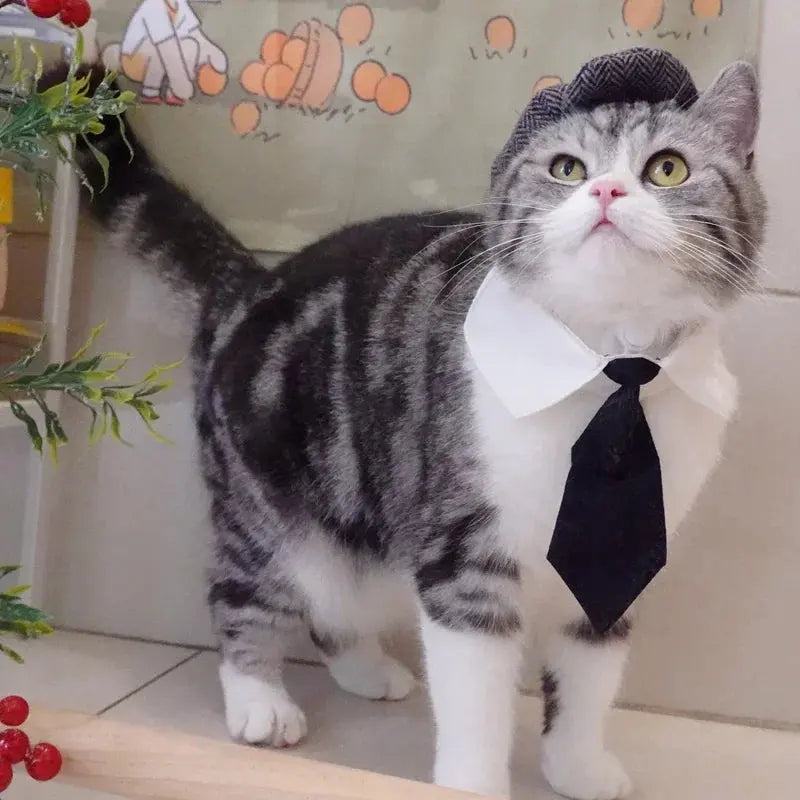 Funny Pet Cat Hat Gentleman's Hat Beret Tie Bathing Blood Gangster Handsome Cosplay Photo Prop Dog Halloween Costume Nova Trendz