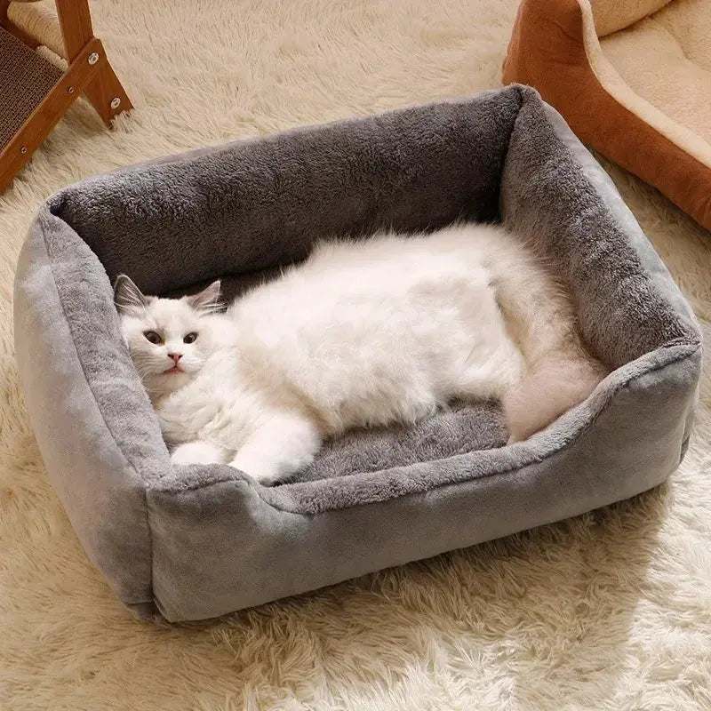Bed for Cats Pet Products Cushions Kitten Goods Accessories Dog All Houses Supplies Things Accessory Habitats Basket House Beds - Nova Trendz