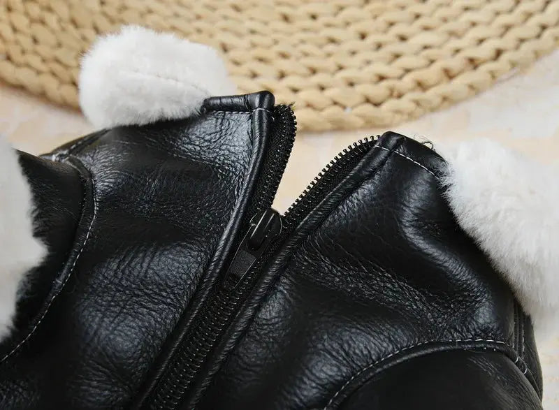 Flying Eagle PU Dog Clothes Plus Velvet Warm Pet Dog Coat Winter Thicken Leather Puppy Jacket Clothes For Small Medium Dogs Cats - Nova Trendz