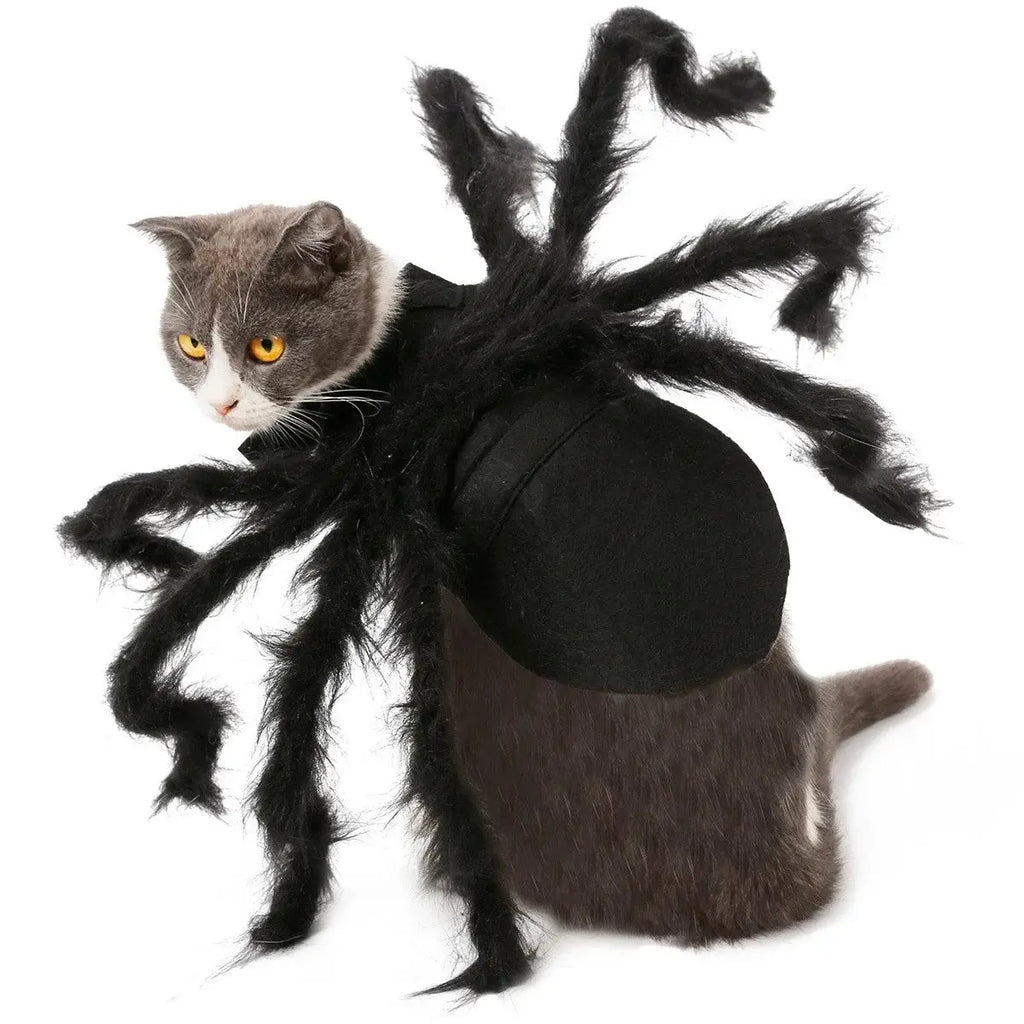 NONOR Halloween Dog Cat Clothes Pet Cosplay Funny Spider Costume Halloween Party Costumes for Small Medium Dog Cat Costumes Nova Trendz