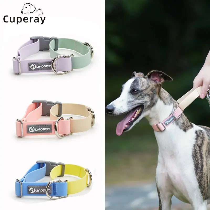Dog Collar,Waterproof Dog Collar with Quick Release Buckle,Coated Stink-Proof Webbing Lightweight Collar for Medium & Small Dogs - Nova Trendz