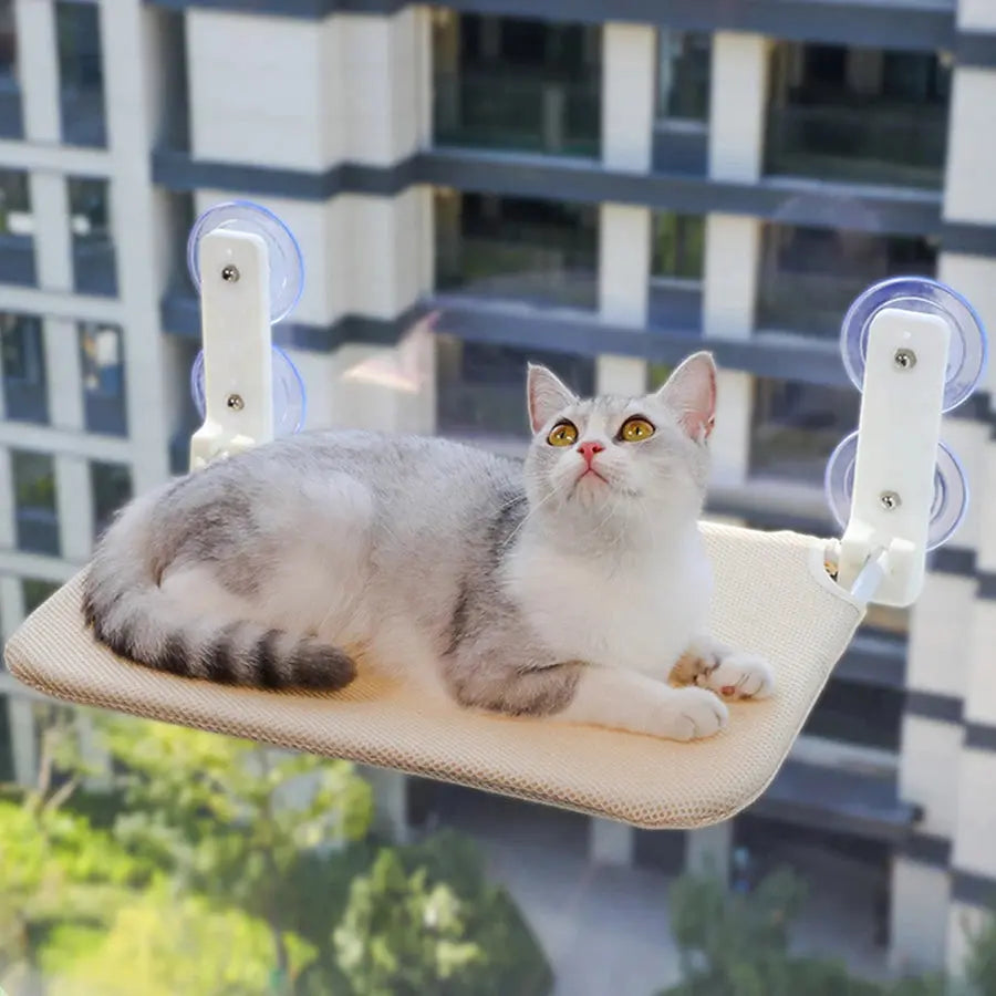 Assembly free folding cat hammock plush mesh cat window wall jumping platform double suction cup cat hammock - Nova Trendz