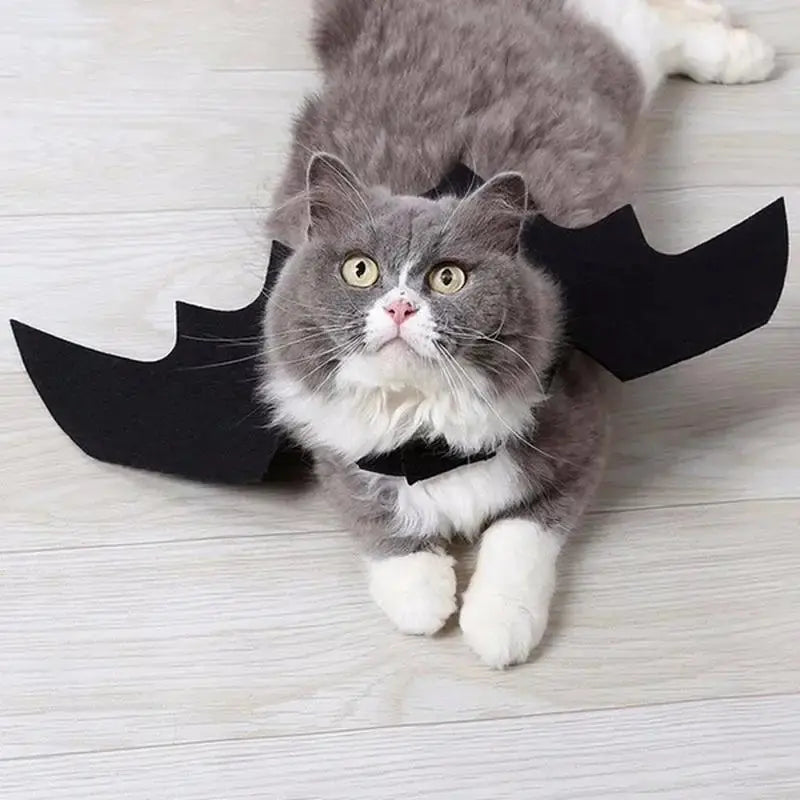 Pet Halloween Cosplay Costume for Dogs Cats Puppy Kittens Black Bat Wings - Nova Trendz