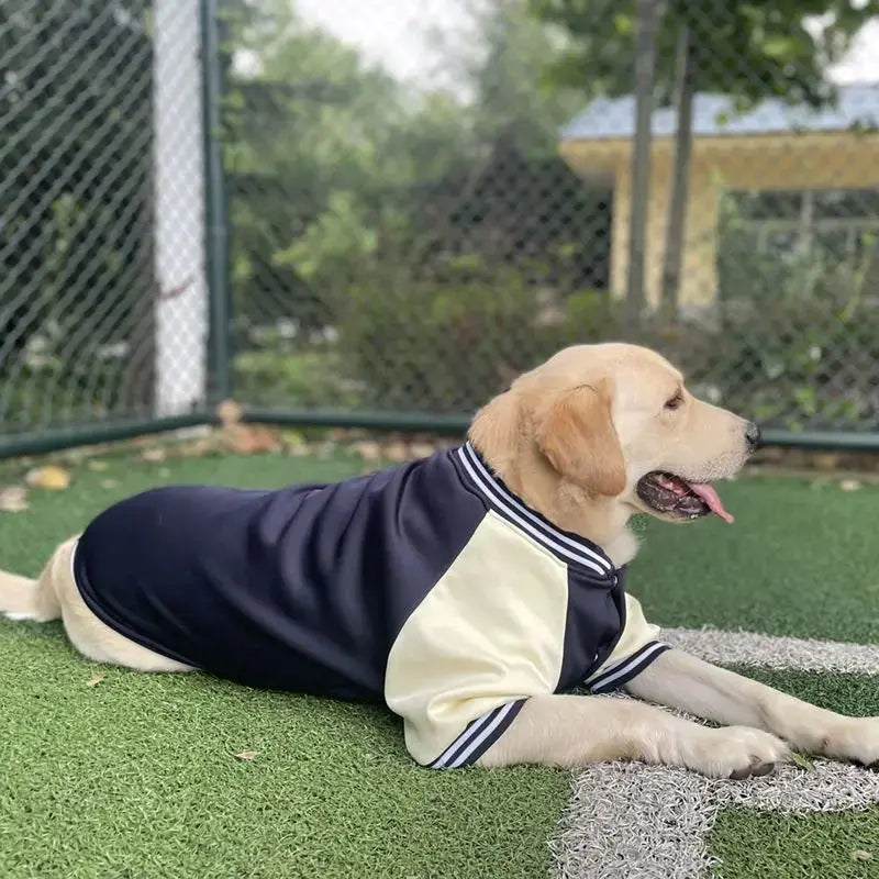 M~7XL Warm Big Dog Baseball Suit Medium Large Dogs Autumn Winter Clothing Golden Retriever Labrador Dog Sweater Thick Style - Nova Trendz