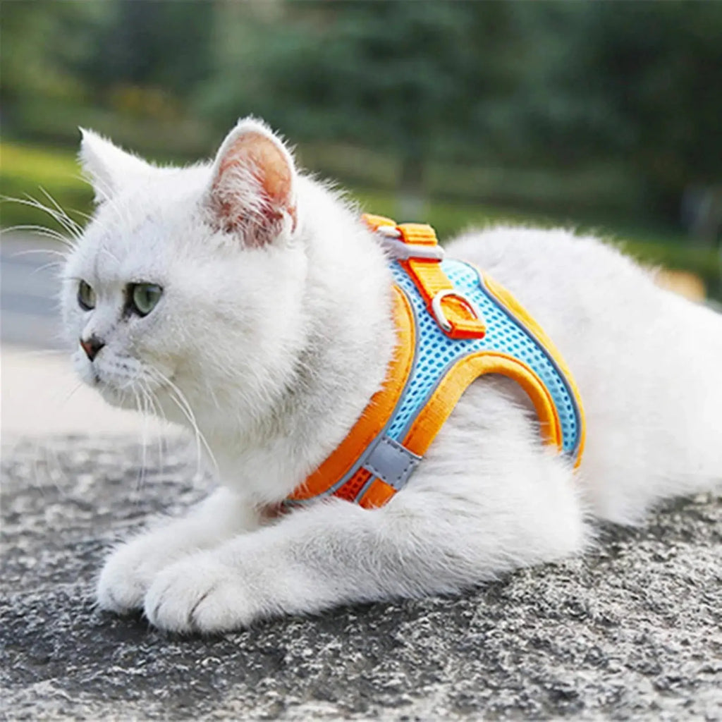 Cat Harness Reflective Pet Harnesses And Leashes Set Adjustable Pet Harness for Cats Small Dogs Pug Chihuahua Cat Accessories - Nova Trendz