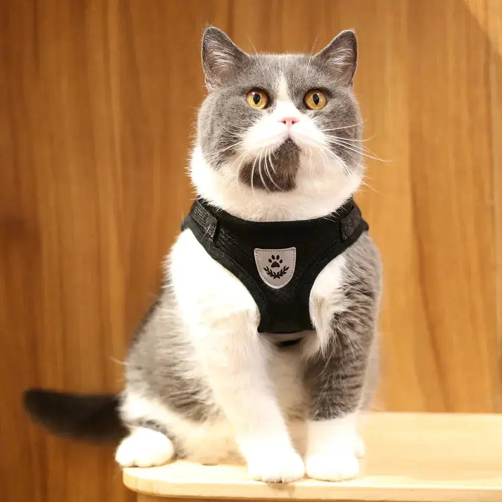 Cat Harness Lead Leash Set Adjustable Reflective Escape Proof Pet Mesh Vest Harness Puppy Dog Collar Small Dog Cat Pet Supplies - Nova Trendz