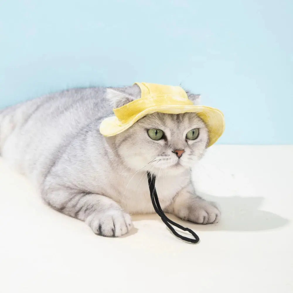 Pet Hat with Ear Holes Summer Outdoor Cute Dog Cat Hat Colorful Adjustable Baseball Cap for Small Medium Dogs Cats Pet Supplies Nova Trendz