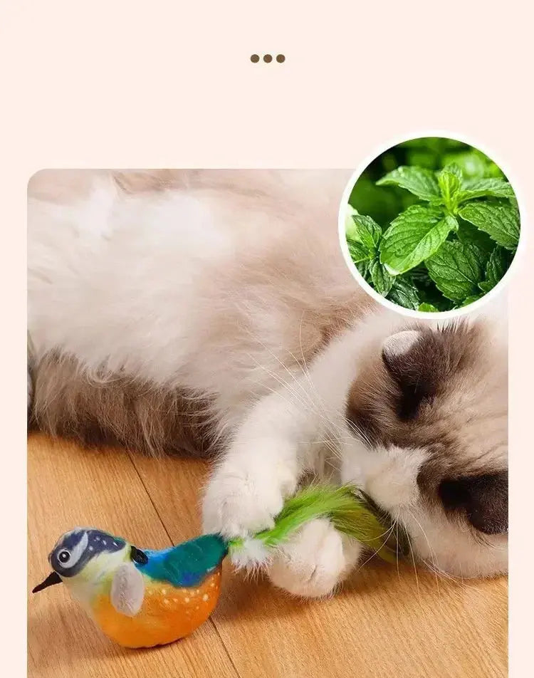 Interactive Cat Toys Rechargeable Electric Flapping Wings Bird Cat Toy Sound Chirping Bird Catnip Touch Activated Plush Toy Nova Trendz
