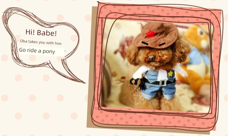 Cat Clothes Dog Clothes Teddy British Shorthair Pet Costume Funny Selling Cute Upright Pet Costume Spring and Summer Clothes Hot