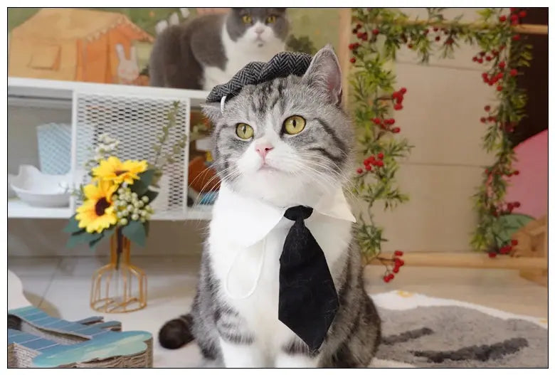 Funny Pet Cat Hat Gentleman's Hat Beret Tie Bathing Blood Gangster Handsome Cosplay Photo Prop Dog Halloween Costume Nova Trendz