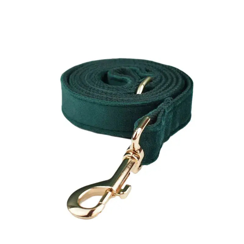 Green Velvet Dog Collar And Leash Set For Dogs Custom Engraved Nameplate Pet Supplies Dog Leash velvet43 - Nova Trendz