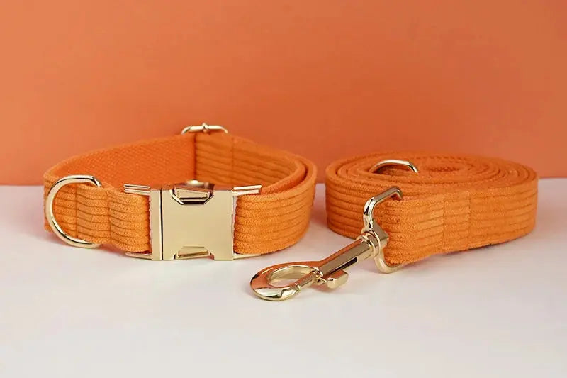 Orange Corduroy Dog Collar And Leash Set For Dogs Custom Engraved Nameplate Pet Supplies Dog Leash Corduroy11 Nova Trendz
