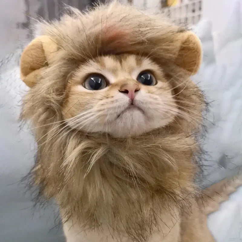 Pet Hairpiece - Humorous Lion Mane Headgear for Dogs and Cats, Adjustable Costume Accessories for Fun Dress-up and Play - Nova Trendz