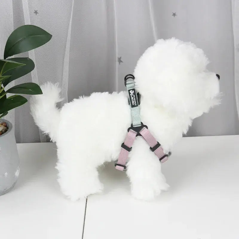 Adjustable Pet Harness for Small Medium Dogs Nylon Dog Harness Leash Set Puppy Harness Dog Accessories - Nova Trendz