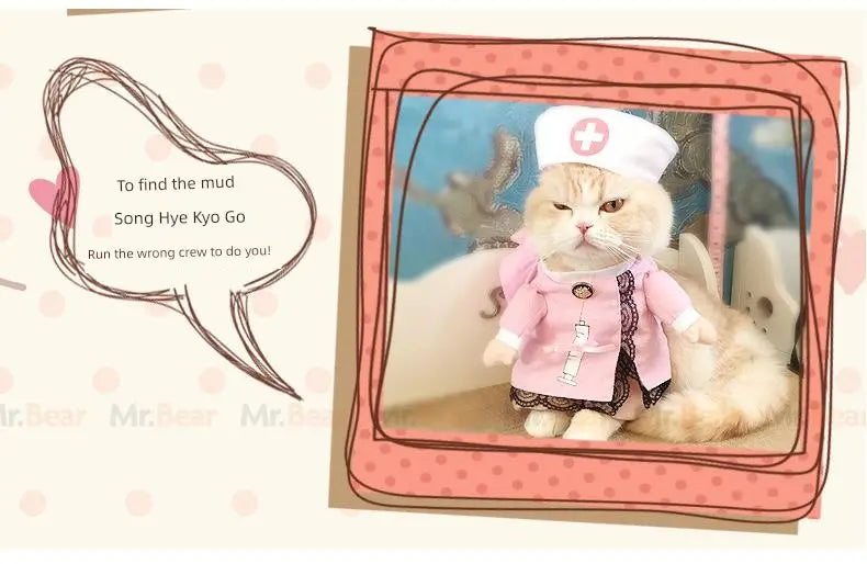Cat Clothes Dog Clothes Teddy British Shorthair Pet Costume Funny Selling Cute Upright Pet Costume Spring and Summer Clothes Hot Nova Trendz