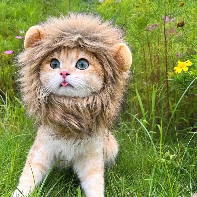 Cat Cosplay Dress Up Pet Hat Lion Mane for Cat Puppy Lion Wig Costume Party Decoration Halloween Christmas GatosPet Supplies Nova Trendz