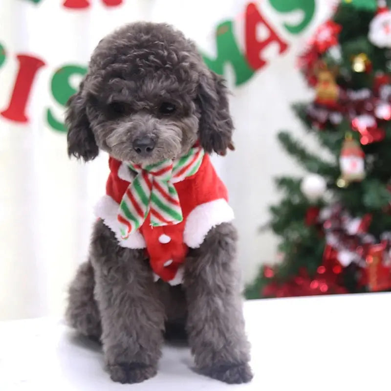 Christmas Dog Clothes for Small Medium Dogs Pet Costume Chihuahua Pets Hoodies Warm New Year Dog Clothing Yorkshire - Nova Trendz