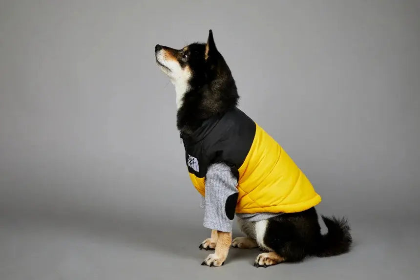 Autumn Winter Pet Dog Down Jacket Clothes for Small Medium Large Dogs Warm Thick Dog Vest French Bulldog Puppy Clothes - Nova Trendz