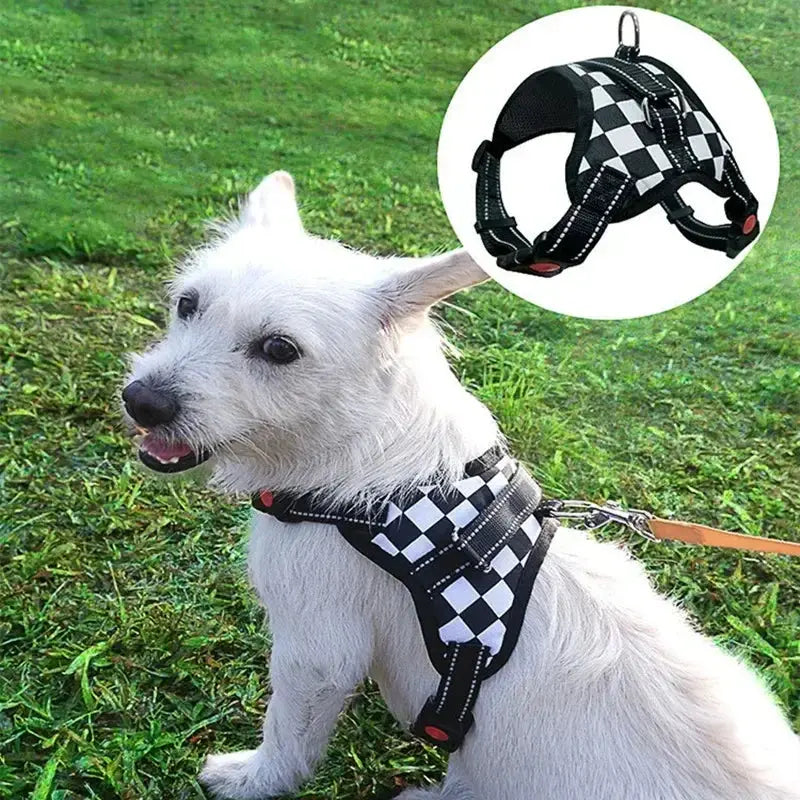Personalized Dog Harness Nylon Reflective Breathable Pet Harness Vest For Small Large Dogs outdoor Walk Training Accessories - Nova Trendz