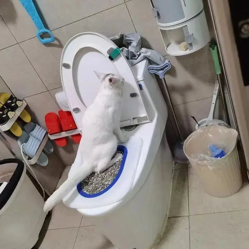 Cat Toilet Trainer Litter Box Cat Toilet Training Reusable Simple Installation Open Cat Raising Artifact - Nova Trendz