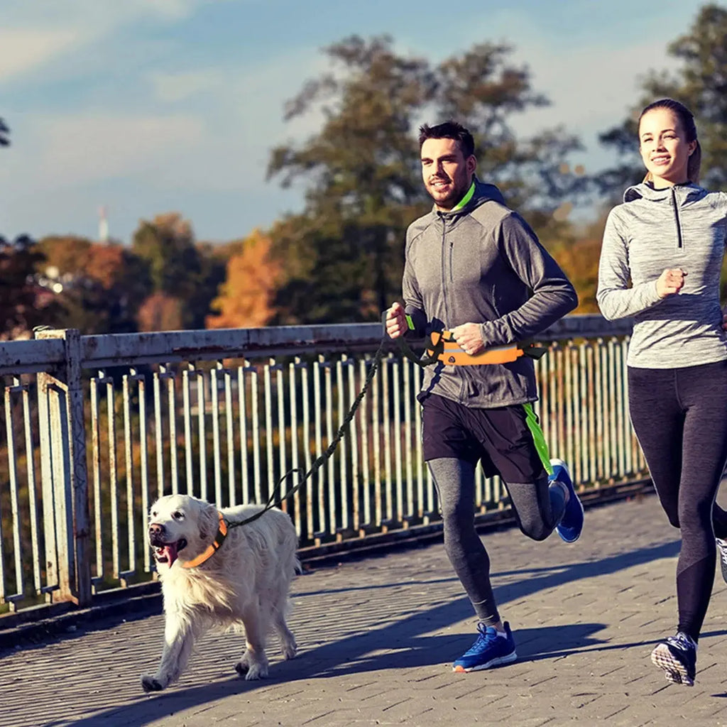 Hands Free Dog Leash Reflective Leash with Waist Bag Retractable Elastic Belt Dog Traction Rope for Running Walking Pet Products - Nova Trendz