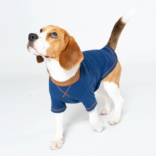 Dog Shirts Summer Puppy Spring Clothes Pet Pullover Sweatshirt Soft Long Sleeve Dog Clothes for Small and Medium Dogs T-shirts